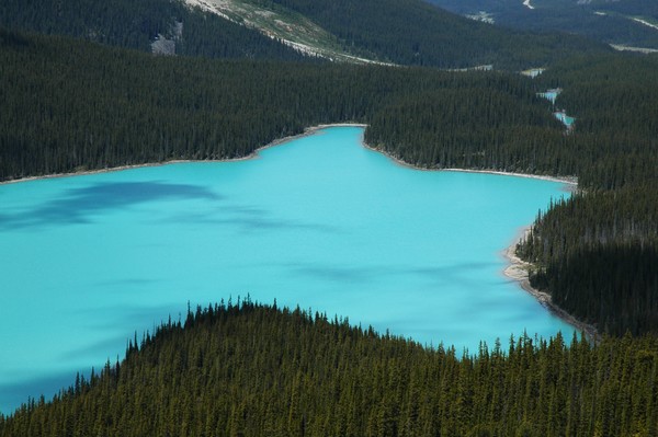 Peyto Lake